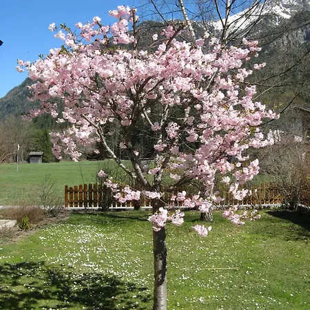 アパート Schlichtherle