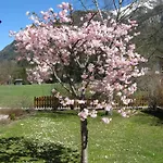 شقة Schlichtherle